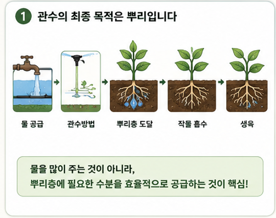 관수의 목적과 뿌리층 수분 공급 원리
